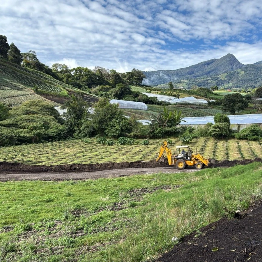 Finca de Caf&eacute; Centuria